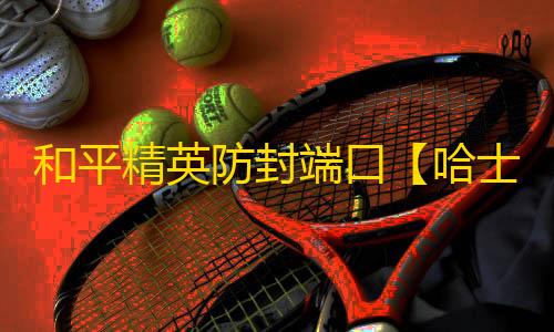 和平精英防封端口【哈士奇】和平端囗-