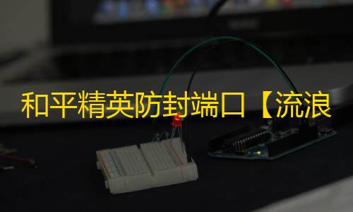 和平精英防封端口【流浪地球】和平端口-