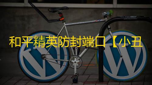 和平精英防封端口【小丑】