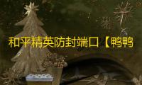 和平精英防封端口【鸭鸭子私端】和平端口-